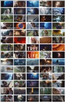 The Tree of Life (2011) Poster