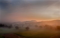 Farmland at Dawn near Jaipur - Rajasthan Province