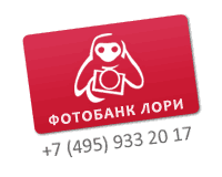 Фотобанк Лори: продажа фотографий, иллюстраций и видеороликов для СМИ, рекламы и дизайна. Телефоны: +7 (495) 933-20-17, 8-800-200-LORI