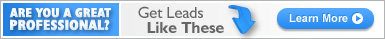 Are you a great professional? Get leads like these.