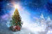 Composite image of christmas tree with gifts, фото № 6528221, снято 14 октября 2014 г. (c) Wavebreak Media / Фотобанк Лори