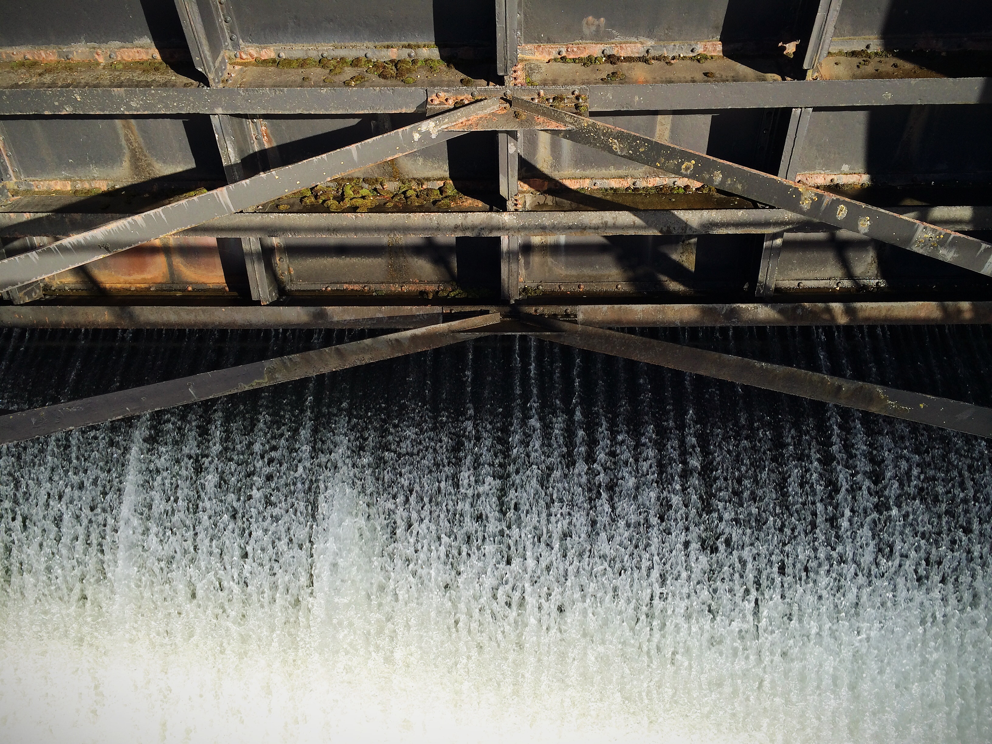 The spillway at the Ballard (Hiram M. Chittenden) Locks in Seattle, Washington lets through a steady stream of water.