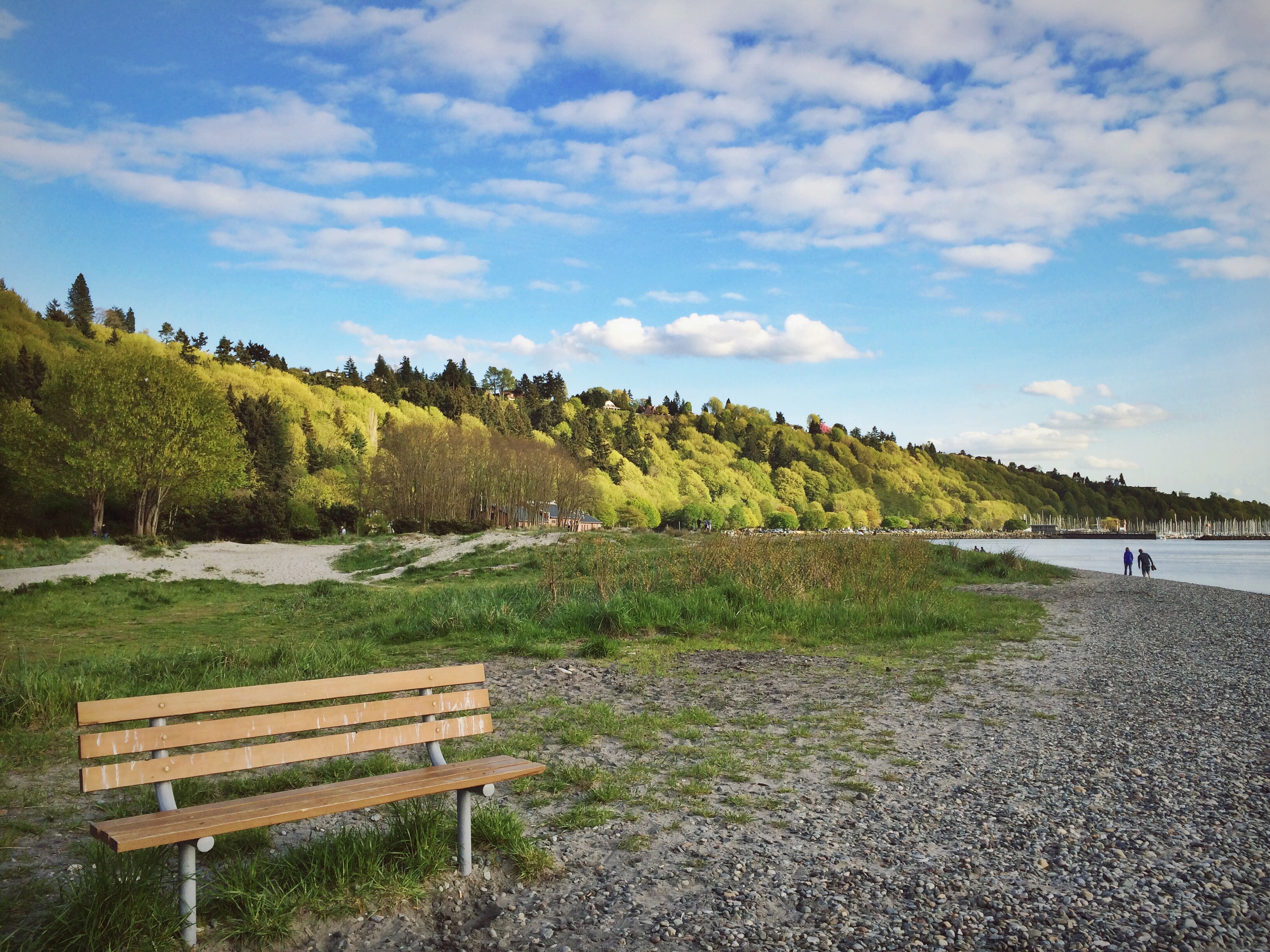 The blue sky meets the fresh green trees on this beautiful spring day at Golden Gardens in Seattle, Washington.