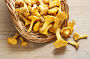 Cantharellus cibarius, commonly known as the chanterelle, golden chanterelle or girolle. Mushrooms in wicker basket., фото № 6978135, снято 25 марта 2015 г. (c) Joanna Malesa / Фотобанк Лори