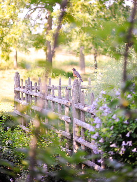 Image Credit: Between Naps on the Porch