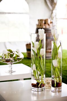 These vertical vases with white tulips are breathtaking. Photography by www.laurenbphoto.com, Wedding Consultation by blushbridalevents.com