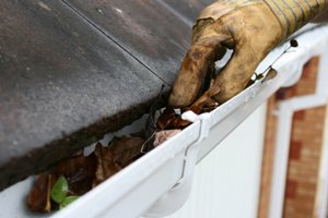 Clean Gutters & Downspouts