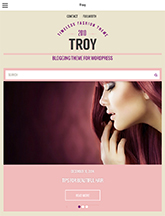 Screenshot of Blogging theme for WordPress Troy on Mini Tablet