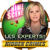 Les Experts: Hidden Crimes