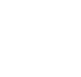 The Verge