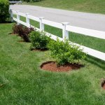 landscape with hemlock mulch