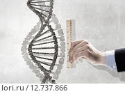 Dna molecule, фото № 12737866, снято 12 мая 2013 г. (c) Sergey Nivens / Фотобанк Лори