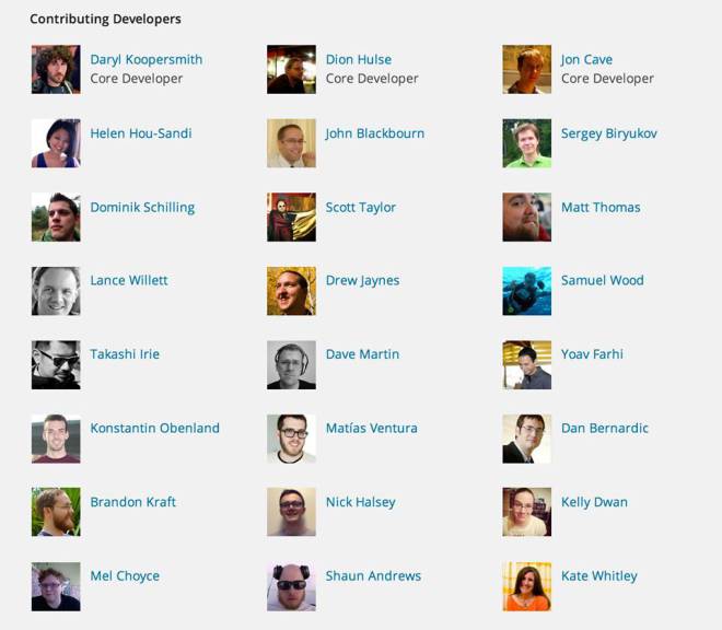 WordPress Contributing Developers