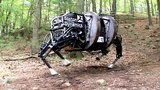 IMG - Mule Robot Too Loud to Fight With Marines