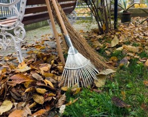 Entretien de jardin : que faut-il faire en automne ?