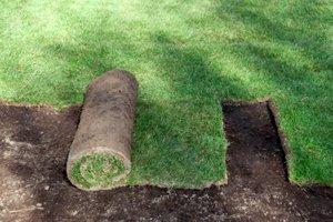 Install Sod in Philadelphia