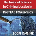 Online CJ Degree - Digital Forensics