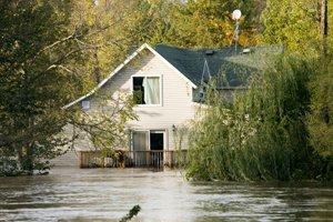 Local Water Damage Cleanup Services