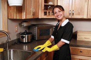 Professional House Keeping and Maid Services