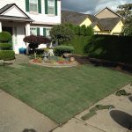 How to Lay Sod – A Complete Guide