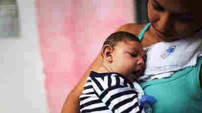 Zika No Longer Global 'Health Emergency,' WHO Declares 