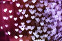 Heart shape blurred bokeh background, фото № 25054708, снято 20 декабря 2014 г. (c) Екатерина Молчанова / Фотобанк Лори