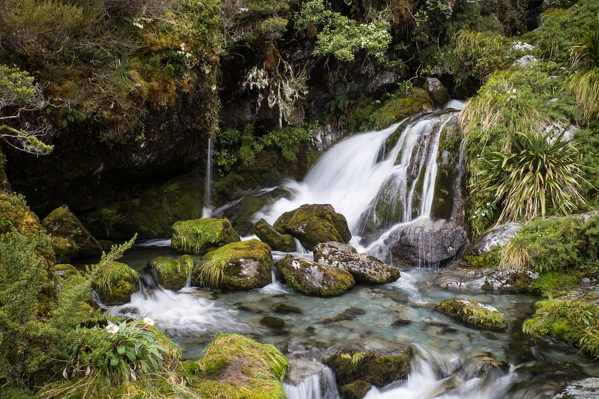 New Zealand The Best