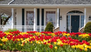 Landscaping For Increased Curb Appeal