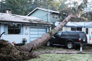 Find a Storm or Wind Recovery Service in Washington