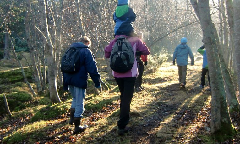 Låg høstsol og flott turvær langs «River walk» i Drivdalen.

 