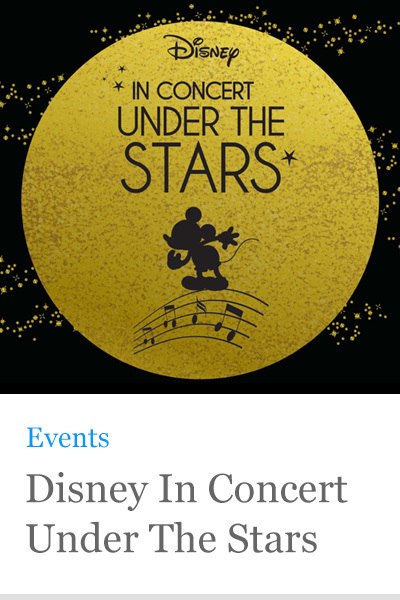 Disney Under The Stars