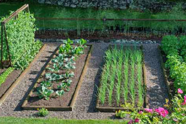 Easy Vegetable Garden