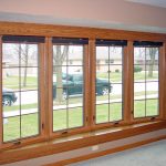 Low Emissivity Windows