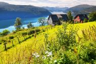 Norsk sommer-landskap med fjord i bakgrunnen.