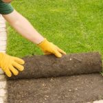 Three Reasons Landscapers Are So Optimistic About Their Business