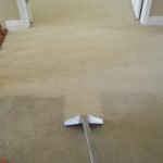 Pros, Cons and Costs: Carpet Cleaning