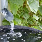 8 Reasons to Add a Rain Barrel to Your Garden