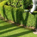 How Much Do Garden and Yard Work Services Cost?