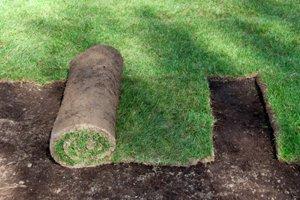 Install Turf