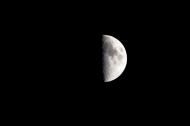 First Quarter Moon in spring (Northern Hemisphere)