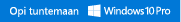 Windows 10 Pro