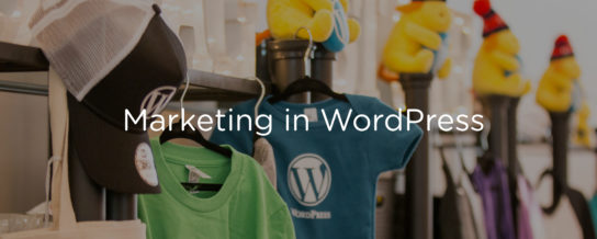 Marketing and positioning WordPress products -- Draft podcast