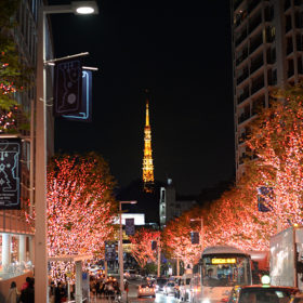 Roppongi Hills 聖誕點燈