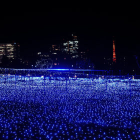 Tokyo Midtown 聖誕點燈