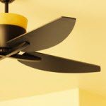 Install a Ceiling Fan