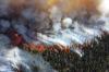Минобороны поможет в тушении лесных пожаров в Сибири