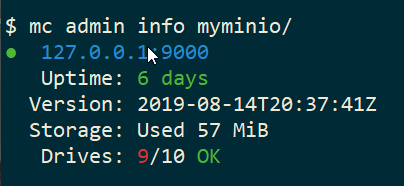 minio_admin_info_drive.png