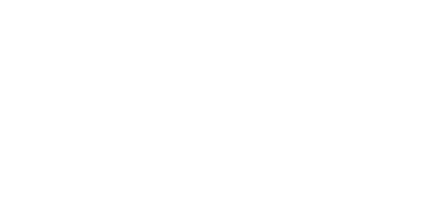 Lietuvos rankinio lyga