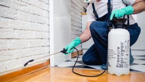 pest control expert at work in a home