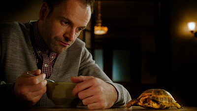 Elementary - Sherlock Adores Clyde The Tortoise, And Who Can Blame Him?